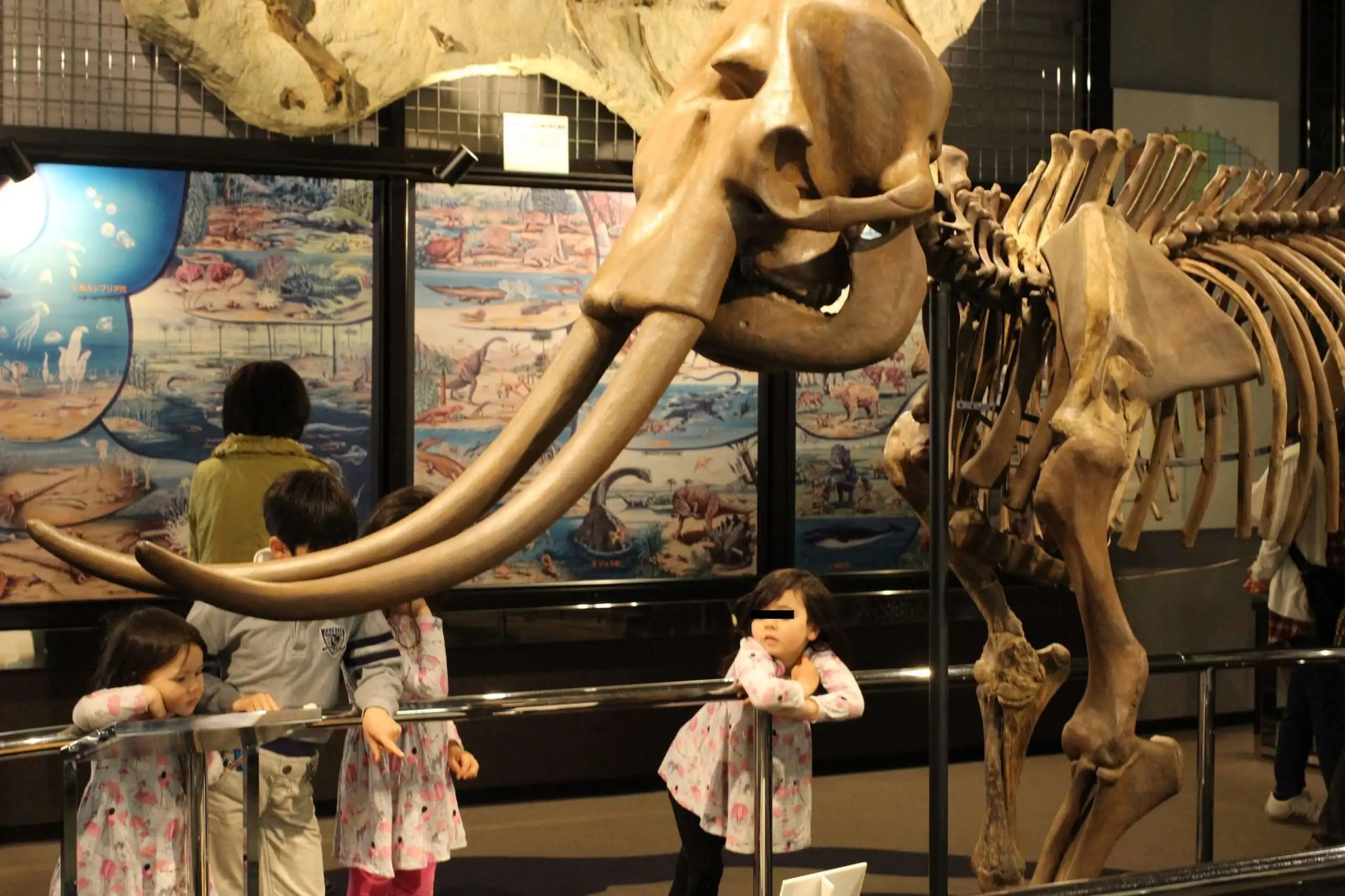 🏛️ 사야마 시립 박물관(사야마 시리츠 하쿠부츠칸)